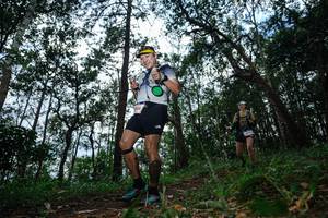 BIB: 2004
                            <button type="button" onclick="openModal(22569832)" class="btn btn-primary btn-sm float-right btn-popup" data-toggle="modal" data-target=".modal-high-quality">
                        <i class="fas fa-shopping-cart"></i> Add to Cart
                    </button>
                                            <button type="button" onclick="isThisMe(22569832, true)" class="btn btn-success btn-sm float-right btn-popup btn-isme hidden" data-toggle="tooltip" data-placement="bottom" title="นี่คือรูปของคุณใช่ไหม คลิกที่นี่เพื่อเอาเข้าอัลบั้ม">
                        <i class="fas fa-plus"></i> Add to album
                    </button>
                    <button type="button" onclick="isThisMe(22569832, false)" class="btn btn-warning btn-sm float-right btn-popup btn-isnotme hidden">
                        <i class="fas fa-ban"></i> Remove from album
                    </button>